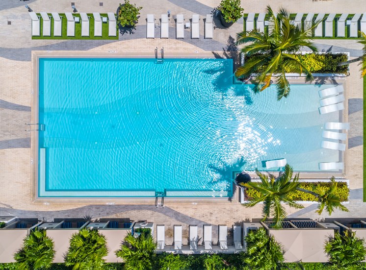 An aerial view of a swimming pool surrounded by palm trees and lounge chairs.